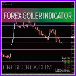 FOREX GOILER MT4 (Source Code)