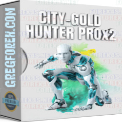 CITY GOLD HUNTER PROx2